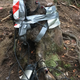 Heat-ratio sap flow sensors on the stump.